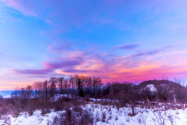 蓝色紫色日落在天空和森林树 — 图库照片