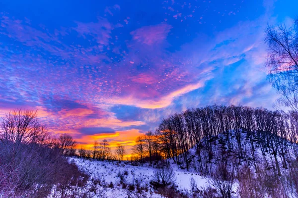 Puesta Sol Azul Púrpura Brillante Bosque Invierno — Foto de Stock