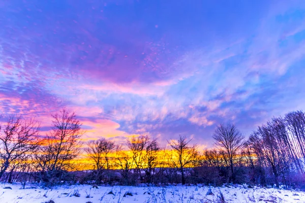 Lila Blau Bunt Sonnenuntergang Himmel Der Landschaft Wald Mit Bäumen — Stockfoto