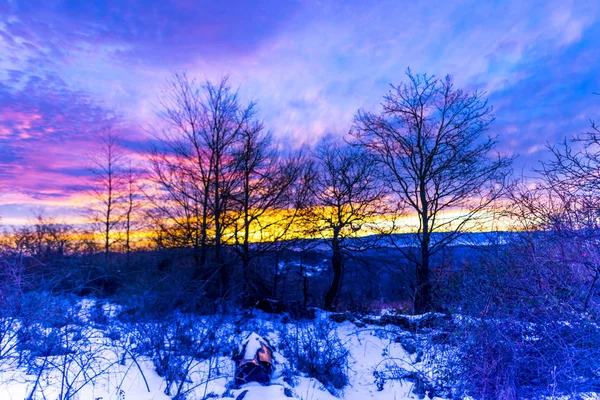Purple Blue Colorful Sunset Sky Countryside Forest Trees — Stock Photo, Image
