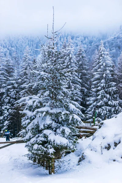 Вид Заснеженные Горы Зимний Природный Пейзаж — стоковое фото