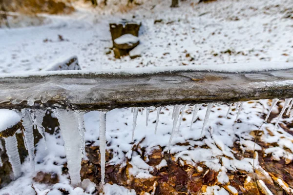 Details Winter Forest Natural Background — Stock Photo, Image