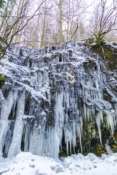 Winterwald Mit Bäumen Und Gefrorenem Wasserfall Winter Und Eiszapfen — Stockfoto