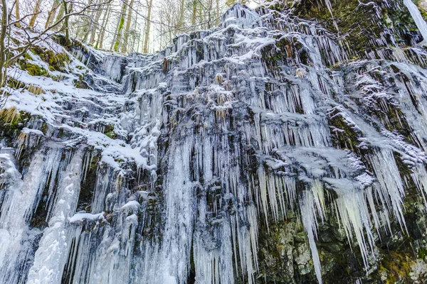 Floresta Inverno Com Árvores Cachoeira Congelada Estação Inverno Icicles — Fotografia de Stock