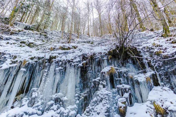 Winter Wald Gefrorener Wasserfall Winter Und Eiszapfen — Stockfoto