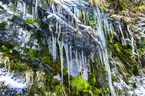 岩石上的绿色苔藓和冬季和冰柱的冰冻瀑布 — 图库照片