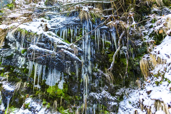 Green Moss Rocks Frozen Waterfall Winter Season Icicles — Stock Photo, Image