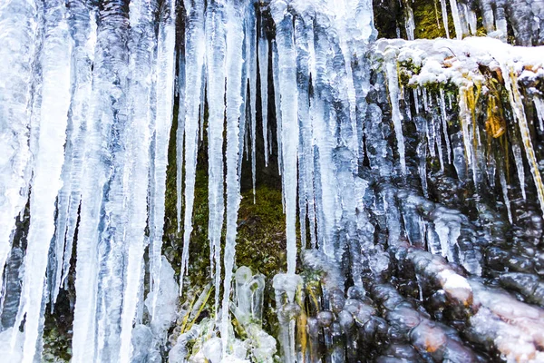 Κοντινό Πλάνο Icicles Καταρράκτη Κατεψυγμένα Χειμώνα — Φωτογραφία Αρχείου