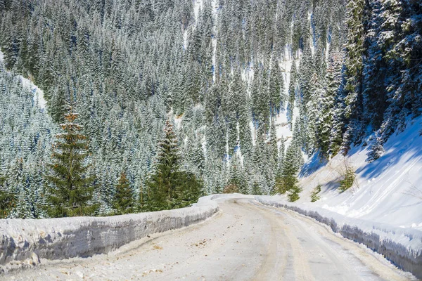 Cesta Lese Sněhem Pokryté — Stock fotografie