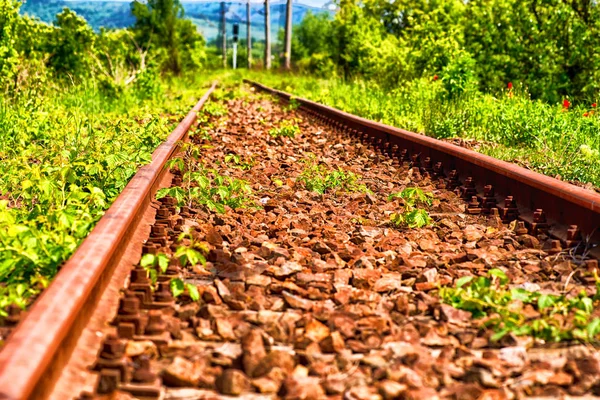 Ormanda Eski Demiryolu Yolu Perspektif Görünümü — Stok fotoğraf
