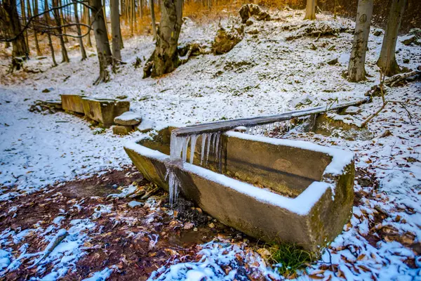 Fluxo Congelado Floresta Inverno — Fotografia de Stock