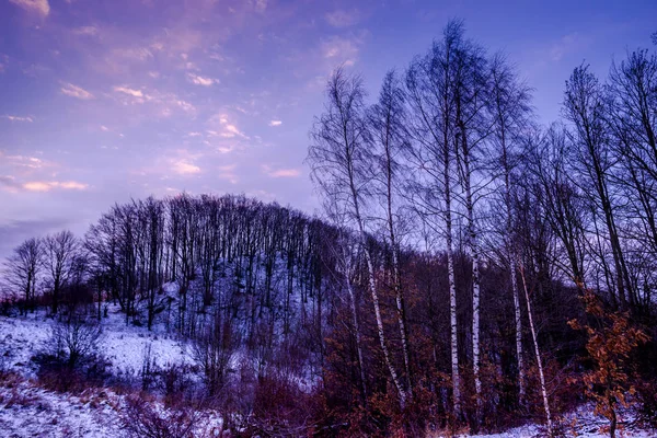 黄昏时的雪山 紫罗兰色的冬日景观 — 图库照片