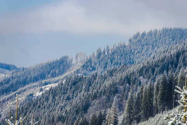 Vista Montañas Nevadas Paisaje Invernal — Foto de Stock