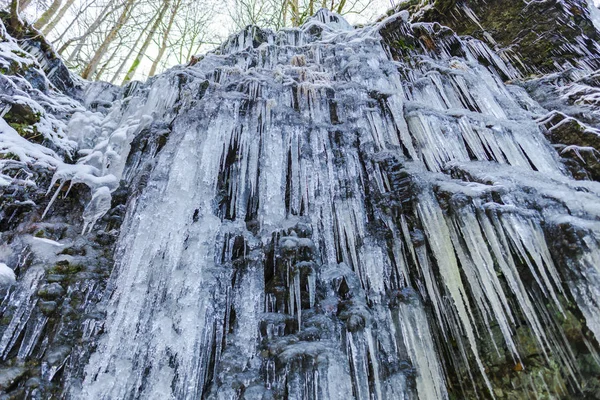 Frozen Waterfall Winter Season Icicles Forest — Stock Photo, Image