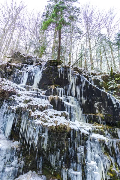 Gefrorener Wasserfall Winter Und Eiszapfen Wald — Stockfoto