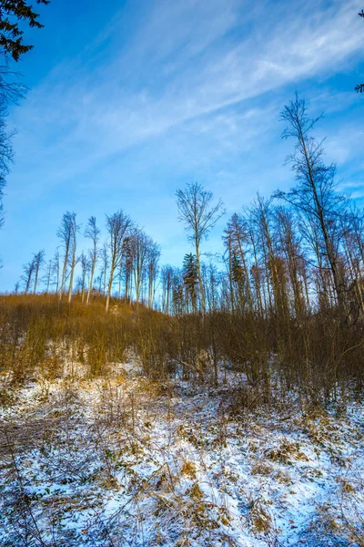 View Snowy Mountains Winter Landscape Royalty Free Stock Photos