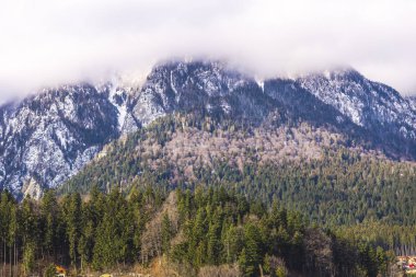 Bulutlar doğal Alp Dağları ve ağaçları ile orman 