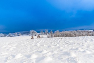 kar kırsal manzara ağaçlar ve mavi gökyüzü ile kaplı 