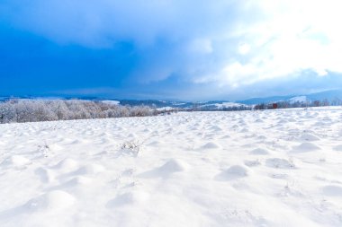 kırsal manzara alan kar kaplı 