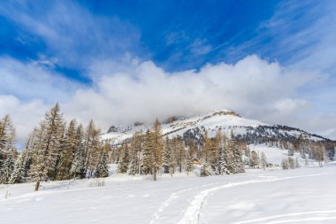 Ismarlayarak kış zamanında karlı dağların 
