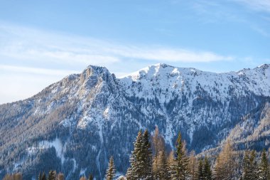 Ismarlayarak ağaçları kış zamanında ile dağların 