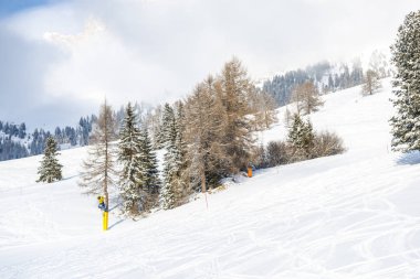 Kayak pisti ağaçta büyüyen kış dağlarda kayak merkezi