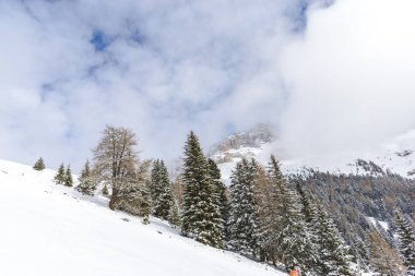 Ağaçları kış zamanında ile Dağları 