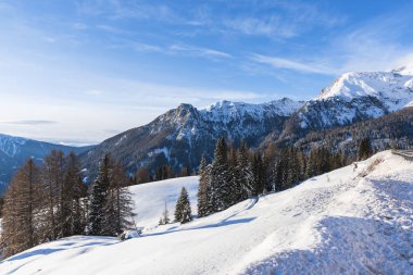 kış sezonu ve orman ağaçları, mavi gökyüzü güneşli hava ile dağlarda 