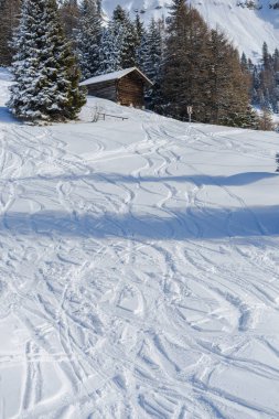 Kayak Merkezi kış dağlar ve ahşap kulübe evindeki, skied bakırlı