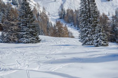 Kayak Merkezi kış dağlar ve kayak pistlerine, skied bakırlı