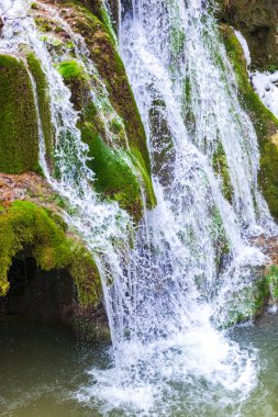 Erken Bahar Orman akan dere şaşırtıcı görünümü