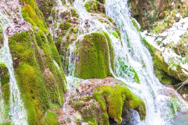Erken Bahar Orman akan dere şaşırtıcı görünümü