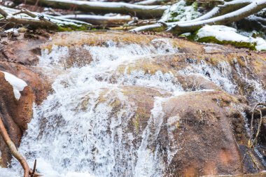 Erken Bahar Orman akan dere şaşırtıcı görünümü