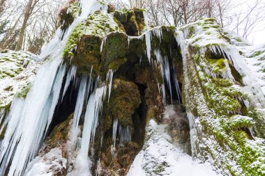 Erken bahar orman içinde donmuş akışının görünümü Kapat