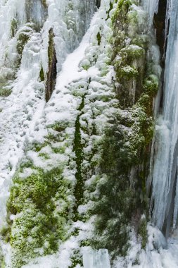 Erken bahar orman içinde donmuş akışının görünümü Kapat