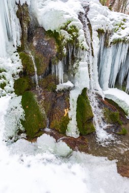 Erken bahar orman içinde donmuş akışının görünümü Kapat