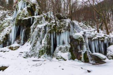 Erken Bahar Orman donmuş akımı ile peyzaj