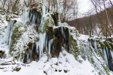 Erken Bahar Orman donmuş akımı ile peyzaj