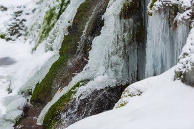 Erken bahar orman içinde donmuş akışının görünümü Kapat