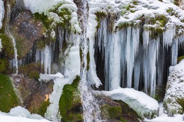 Erken bahar orman içinde donmuş akışının görünümü Kapat