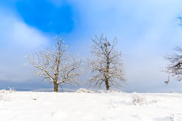 Sneeuw Bedekt Landschap Landschap Met Bomen Blauwe Hemel Met Wolken — Stockfoto