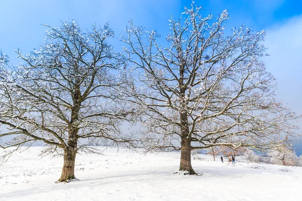 Sneeuw Bedekt Landschap Landschap Met Bomen Blauwe Hemel Met Wolken — Stockfoto