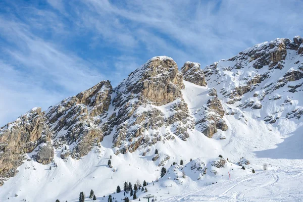 Schilderachtige Uitzicht Bergen Met Bomen Winter — Stockfoto