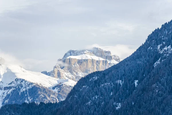 Malebný Výhled Pohoří Stromy Zimě — Stock fotografie