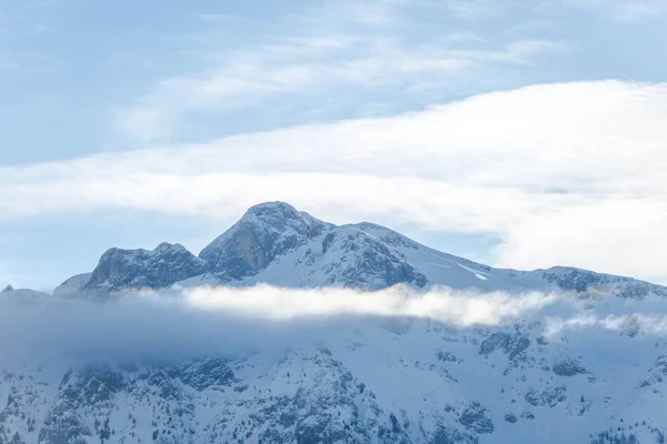 Malerischer Blick Auf Berge Mit Bäumen Winter — Stockfoto
