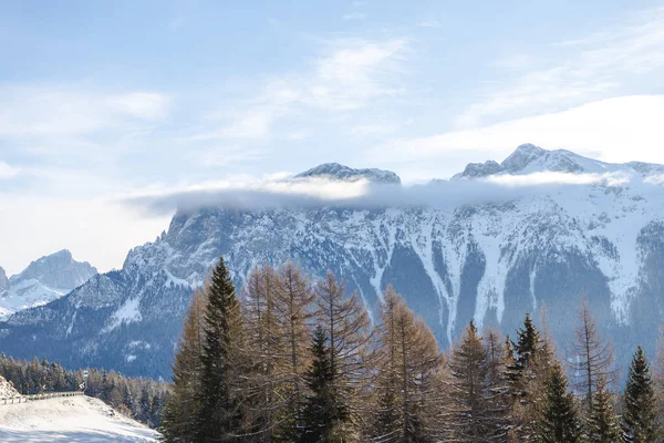 Vista Pitoresca Montanhas Com Árvores Tempo Inverno — Fotografia de Stock