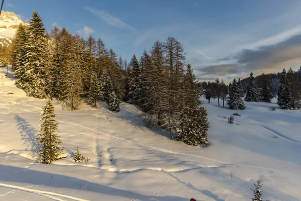 Estación Esquí Las Montañas Invierno Árboles Crecimiento Pista Esquí — Foto de Stock