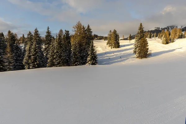 Skigebiet Winter Berge Wachsende Bäume Auf Der Skipiste — Stockfoto