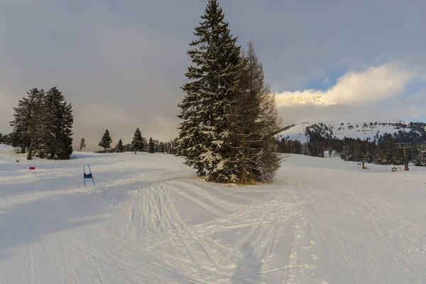 Estación Esquí Las Montañas Invierno Árboles Crecimiento Pista Esquí — Foto de Stock