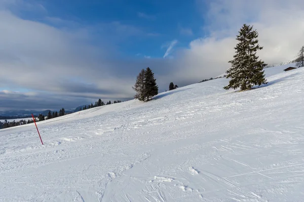 Comprensorio Sciistico Inverno Montagne Alberi Crescita Sulla Pista Sci — Foto Stock